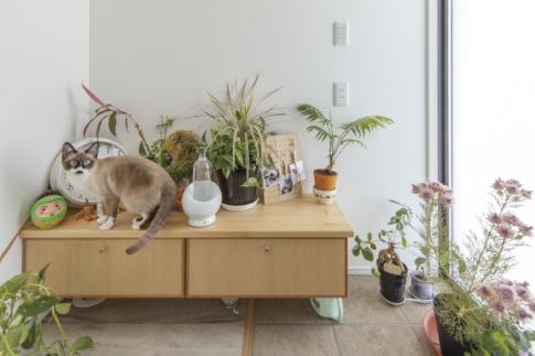 コストパフォーマンスの高い住まいに